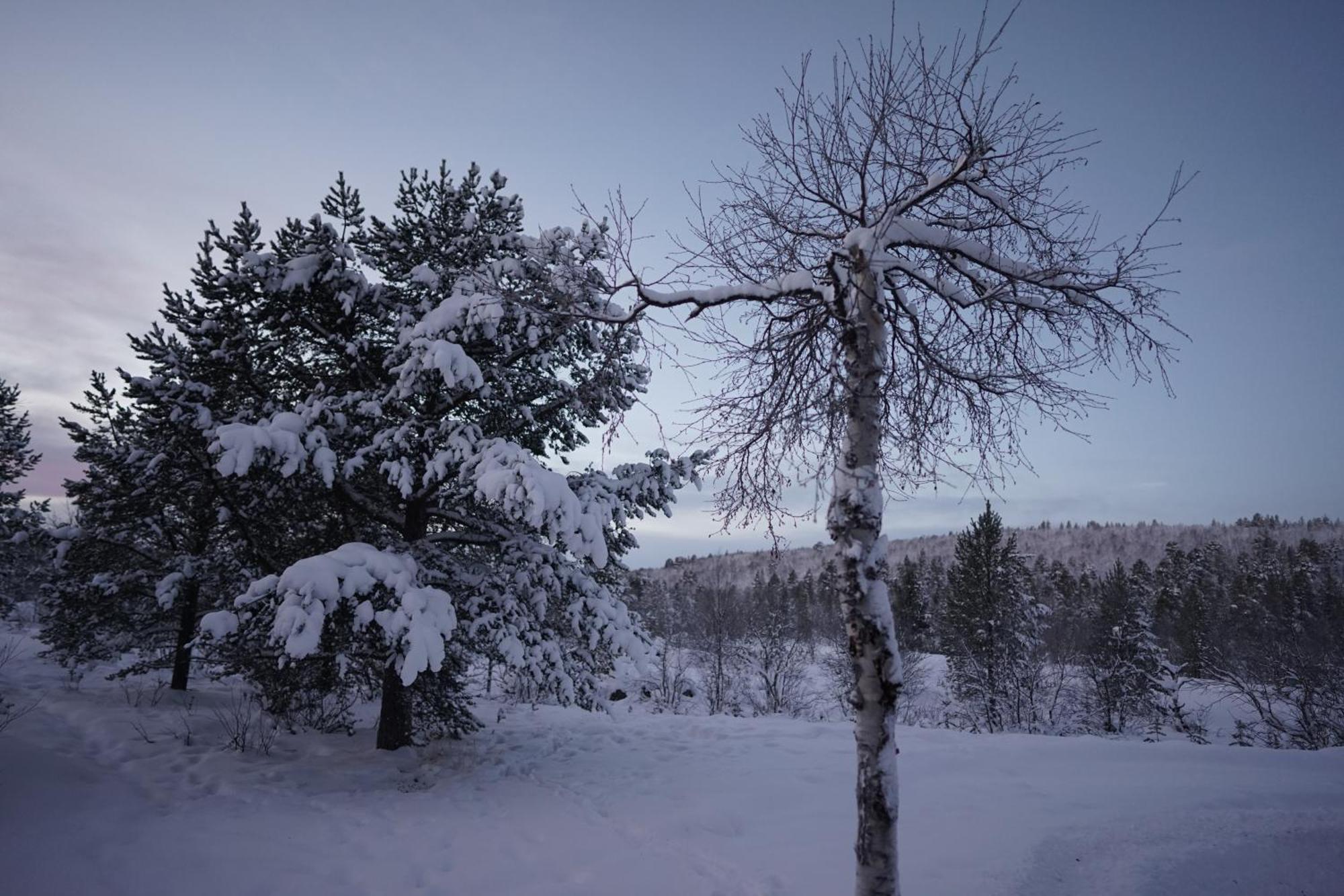 Muotkan Ruoktu Tunturikyla Inari Zewnętrze zdjęcie